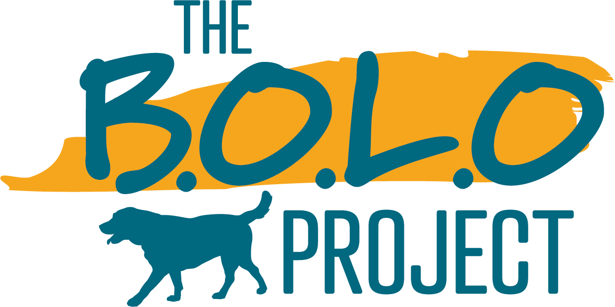 The BOLO Project